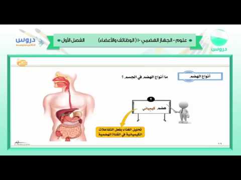 الثاني المتوسط | الفصل الدراسي الأول 1438 | علوم | الجهاز الهضمي 1