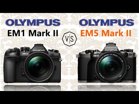 Olympus OMD EM1 Mark II vs Olympus OMD EM5 Mark II