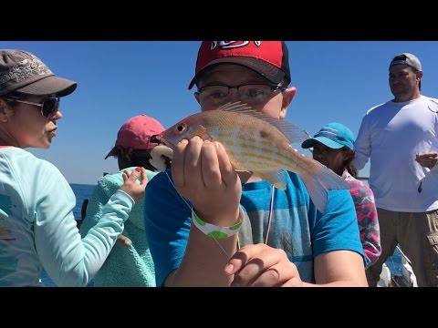 Catching Tropical Fish In The Deep Sea *PRETTY FISH CAUGHT*