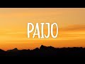 Zaskia Gotik Paijo Lyrics TikTok Version