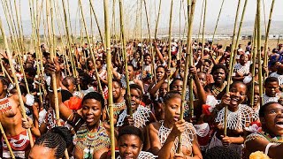 South Africa: Joy as Zulu reed dance festival retu