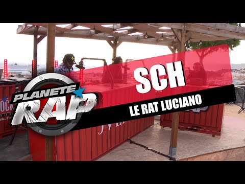 SCH et Jul forcent Le Rat Luciano à sortir des morceaux #PlanèteRap