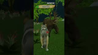 🐺wolf simulator 3D game playing 😄 | Level 3 | #shorts #gamming #viral #gammingworld