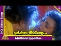Muthirai Ippothu Video Song HD Uzhaippali Tamil Movie Songs Rajinikanth Roja Ilayaraja