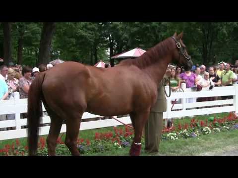 Funny Cide visits the Spa