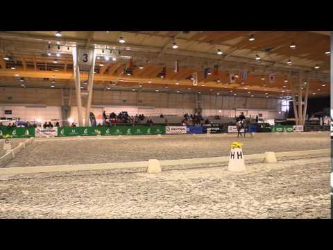 PET FESTIVAL CDI 3 ***