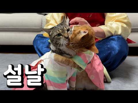 명절에 멱살잡이 하는 화목한 우리집