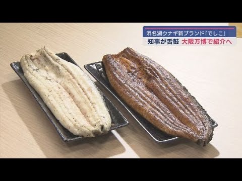 YouTube Video 浜名湖ウナギのブランド「でしこ」を静岡県知事にお披露目 大阪・関西万博で世界に発信 浜名湖養魚漁業共同組合