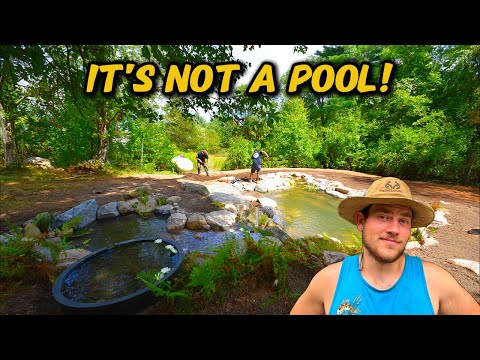 We Built a Pond You Can Swim In, Here's How It Turned Out