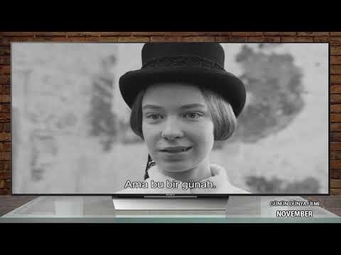 "November" - Günün DÜNYA Filmi