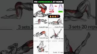 Download lagu Best Exercises to Reduce Varicocele Naturally #kegelexercises mp3