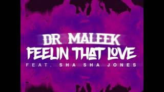 Dr Maleek feat. ShaSha Jones - Feelin' That Love ★ Hot RnB Banger ★