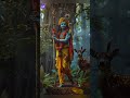Dwarkadhish Status Dwarkadhish Marrage Status Tulsi Vivah Special Status