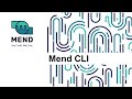 Mend CLI