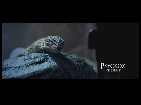 Psyckoz - Sang Froid ( Clip officiel )