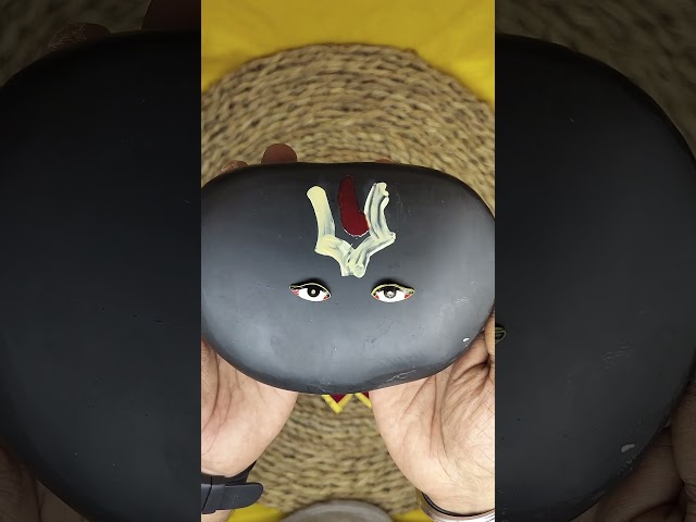 Charisma Lord Vishnu black shaligram Shila Stone video