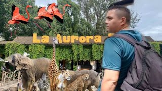 Visitando el Zoológico La Aurora de Guatemala 🇬🇹