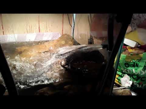 75 gallon turtle tank setup(righteous)