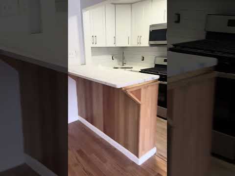 video 1