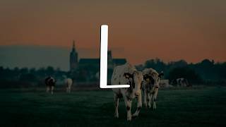 Download lagu Halstage - L || [Mix Playlist Lirik] mp3
