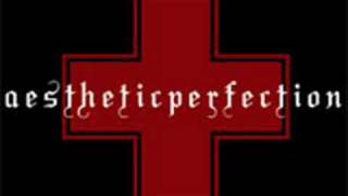 Aesthetic Perfection - Living The Wasted Life