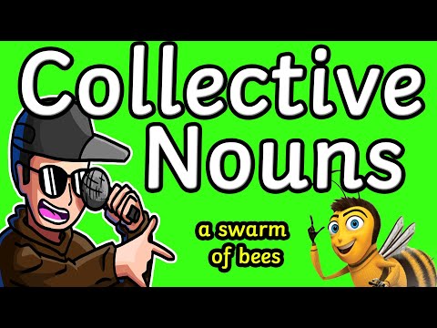 Collective Nouns | Rap Song