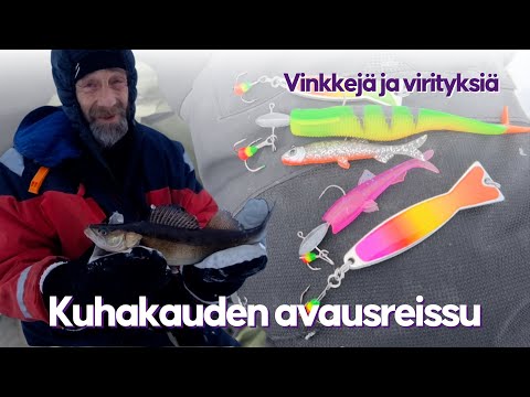 Kuhakausi on avattu - Kuhan pilkintää joulukuussa - vinkkejä ja fiilistä