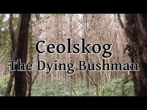 Ceolskog - The Dying Bushman (New Zealand Folk Metal)