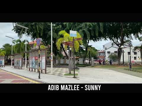 Adib Mazlee - Sunny (500 SUBS SPECIAL) (FREE DOWNLOAD)