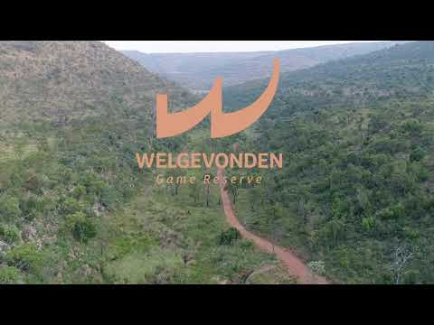 Find sanctuary from a chaotic world at Welgevonden Game Reserve today.