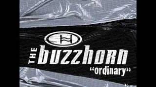 The Buzzhorn - Ordinary