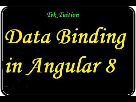 Data Binding In Angular 8