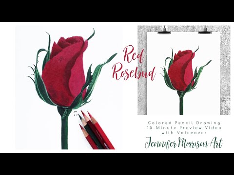 Red Rosebud YouTube Patreon 15 minute Preview Video
