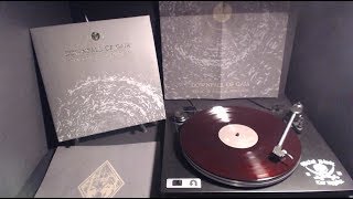 Downfall of Gaia "Ethic of Radical Finitude" LP Stream