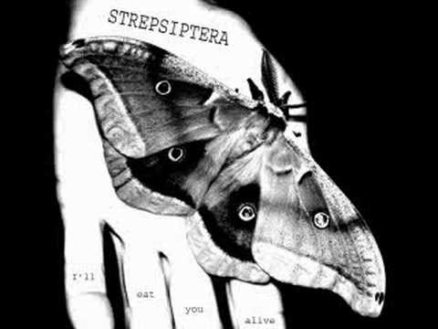 Bleitod-Valentine´s Day [Strepsiptera Outtake]