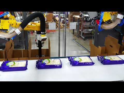 Versatile Robotic Case and Tray Packing