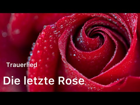Trauerlied „Die letzte Rose“ - Oper „Martha“ - Cover von Engelsstimme Anna