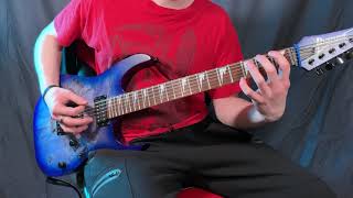 Pig Destroyer  - The Diplomat (Guitar Cover)