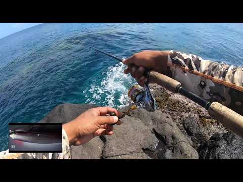 Big Needlefish gets away on DUO Tide Minnow Sprint