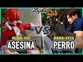 KOF XV Shermie Asesina Shermie Leona Athena Vs Perro Shingo Kim Sylvie Steam