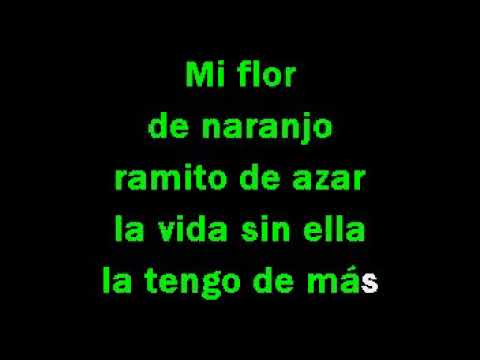 Los Invasores de Nuevo Leon   Mi flor de naranjo Karaoke