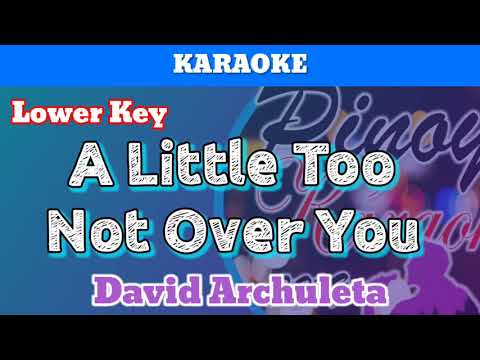 A Little Too Not Over You by David Archuleta (Karaoke : Lower Key)