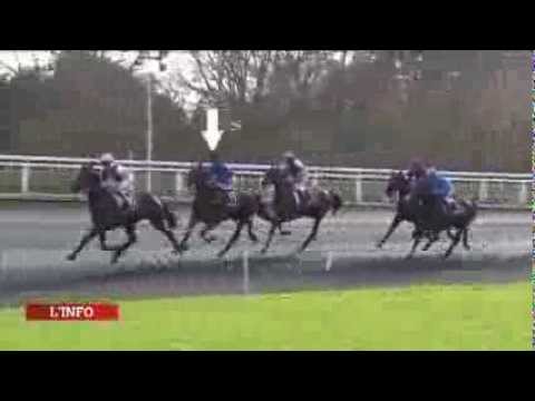 Résumé du Prix de Montreuil 16 janvier Vincennes - Bomba