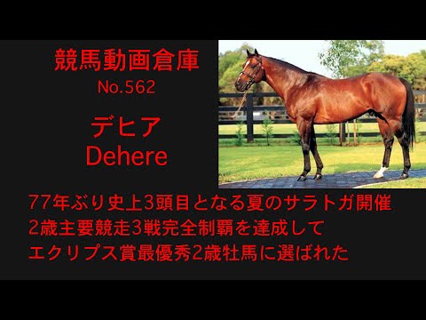 【競馬】デヒア　Dehere【No562】