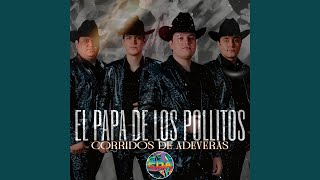 El Papa de los Pollitos (Live)