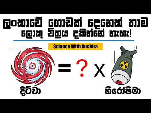 විශාල ප්‍රමාණයේ ආපදා වලට ලක් වෙලා ගොඩගිය රටවල් අනුගමනය කල සමාජ සමීකරණය මොකක්ද?