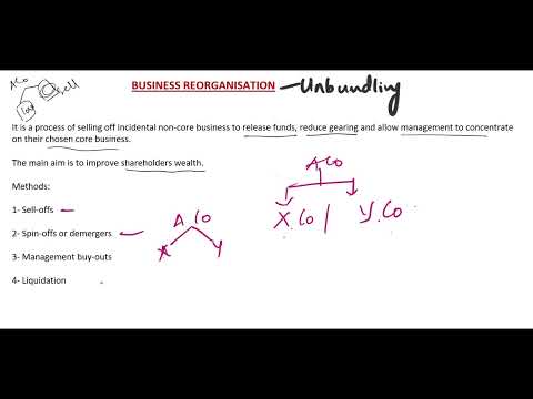 Business Re-organisation | Detailed Explanation with Example