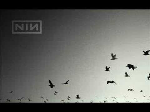 Nine Inch Nails - Ghosts III - 20