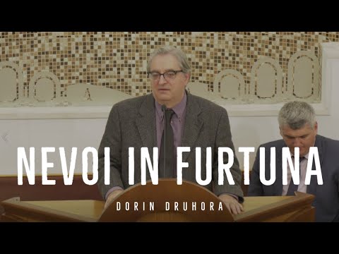Nevoi în furtună | Dorin Druhora