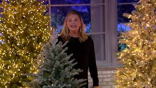 Bethlehem Lights Micro LED Christmas Tree w/ Storage Bag on QVC